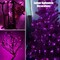 Purple Halloween Lights with Black Wire for Outdoor Indoor (Purple)